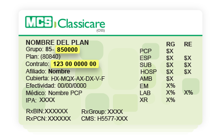 Carnet
